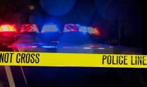 Faun Reese Baton Rouge LA Death, Obituary - Woman Dead In Home After Stabbing